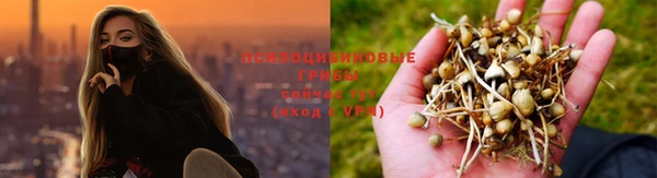 ECSTASY Вяземский