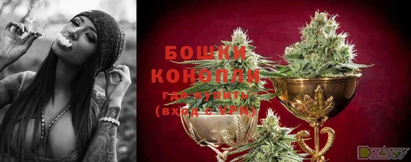 молекула духа Вязники