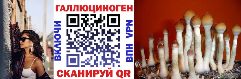 Галлюциногенные грибы Psilocybine cubensis  hydra   Дербент 